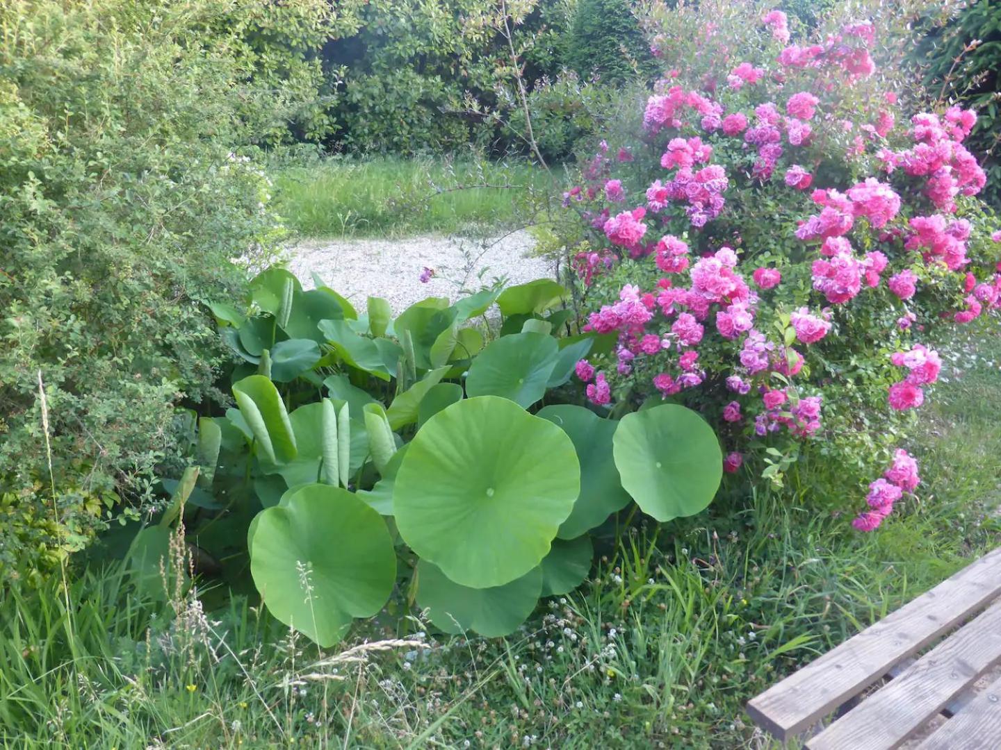 La Maison De L'Ecolieu Du Turc - Piscine Partagee Le Mas-dʼAgenais Exterior foto